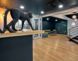 Domiciliation d'entreprise Strasbourg Mundolsheim